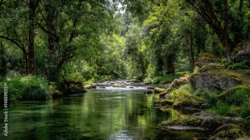 A stunning image of serene River Flowing Through Lush Forest, A Peaceful Nature Scene.