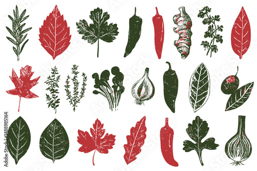 Hand Drawn Spice Vector Set Ginger Parsley Rosemary Basil Garlic Paprika Pepper Arugula Olive Doodle Icons