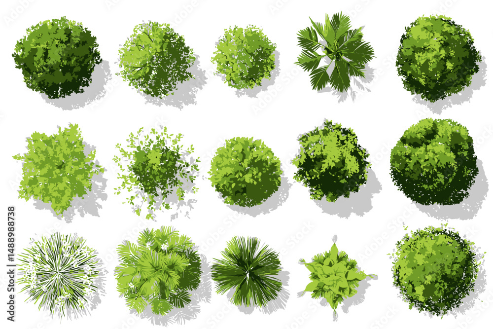 Top View Green Tree Vector Set for Outdoor Plan Map Architecture Drawing Botanical Elements Blooming Spring Flowers Tropical Plants Garden Environment Top View Green Tree Vector Set for Outdoor Plan Map Architecture Drawing Botanical Elements Blooming Spring Flowers Tropical Plants Garden Environment