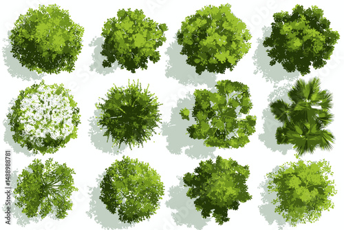 Top View Green Tree Vector Set for Outdoor Plan Map Architecture Drawing Botanical Elements Blooming Spring Flowers Tropical Plants Garden Environment