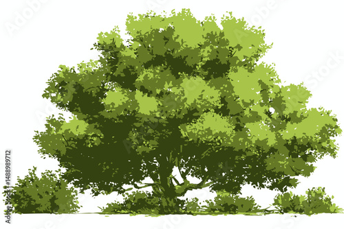 Watercolor Green Tree Forest Side View Vector Isolated for Landscape Architecture Garden Environment Shrub Section Elements