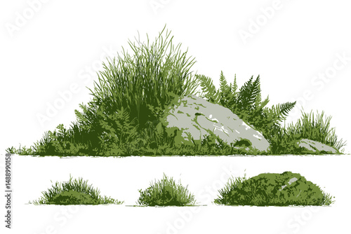 Watercolor Grass with Rock Vector for Landscape Architecture Garden Environment Botanical Section Meadows Moss Green Area Elements