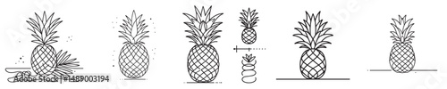 pineapple fruit vector continuous line style