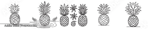 pineapple fruit vector continuous line style