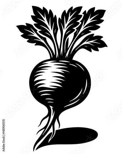 A black and white drawing of a radish