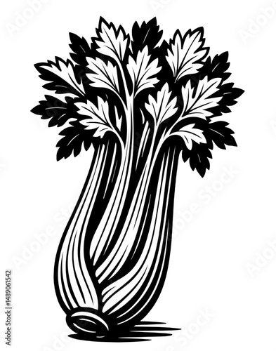 A celery stalk with leaves is shown in black and white