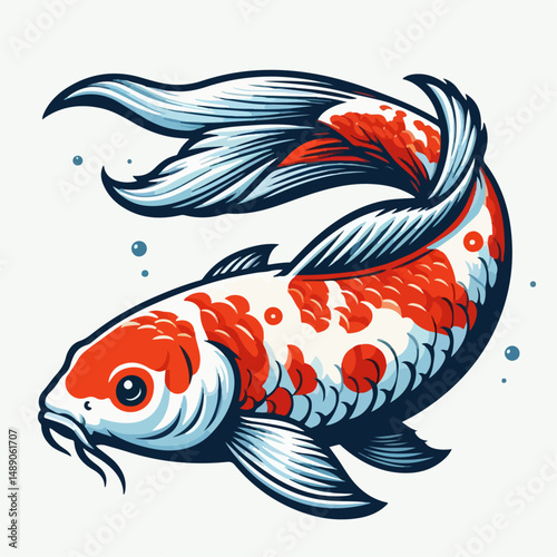 koi fish vector illustration