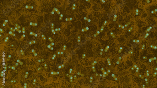 Microscopic view of bacteria on a surface (16)