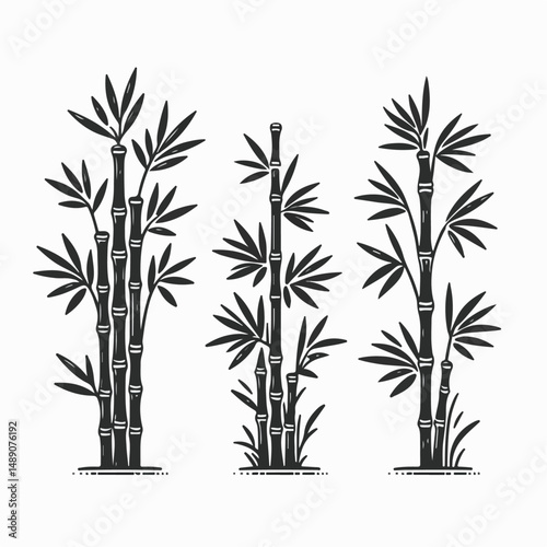 bamboo vector illustration white background