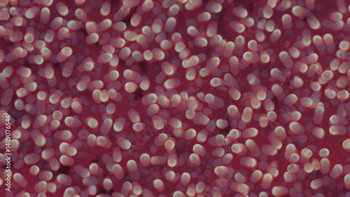 Microscopic view of clustered cells (3)