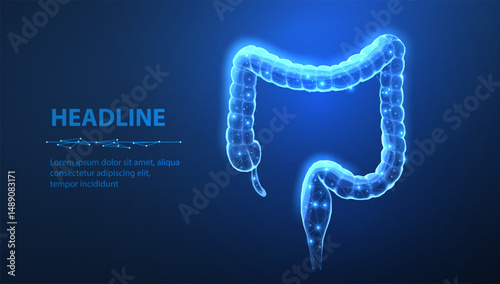 Large intestine. Gut health, bowel disease, gastrointestinal tract.