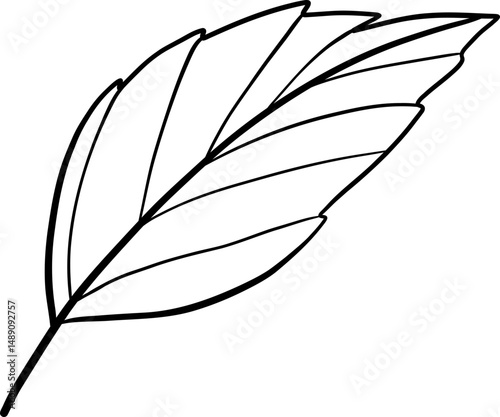 Pointed Oval Leaf with Prominent Central Vein in Line Art