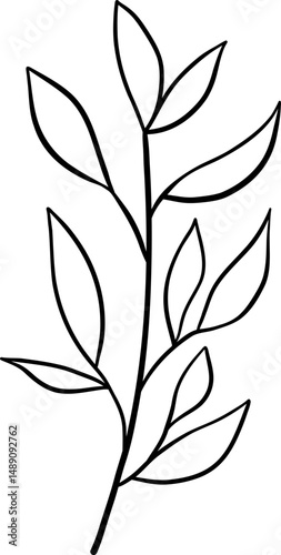 Pointed Oval Leaf with Prominent Central Vein in Line Art