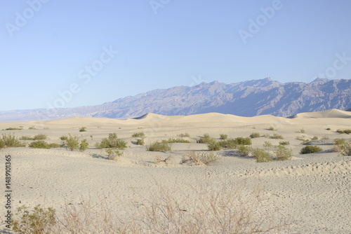 Sparce desert shrubs in Sand Dunes with a Mountain Range with dusty blue sky in Mesquite Flats in Death Valley California photo