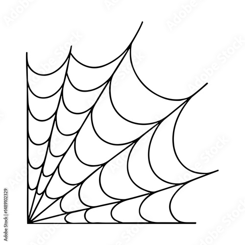 Spider Web Hand Drawn