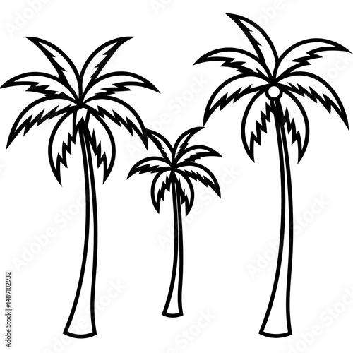 palm tree silhouette