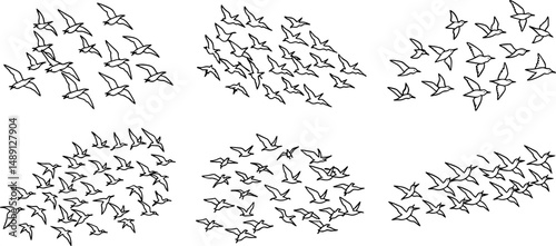 Set of flock of birds in sky outline vector and illustration, coloring book page