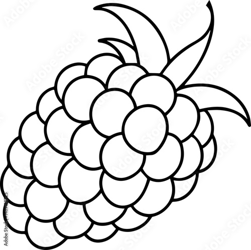 raspberry outline vector and illustration, coloring book page