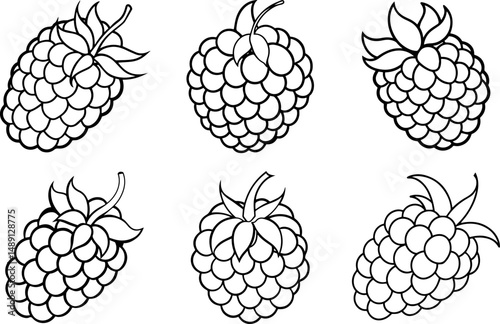 Set of raspberry outline vector and illustration, coloring book page