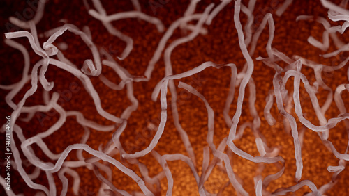 Abstract microscopic view of branching structures