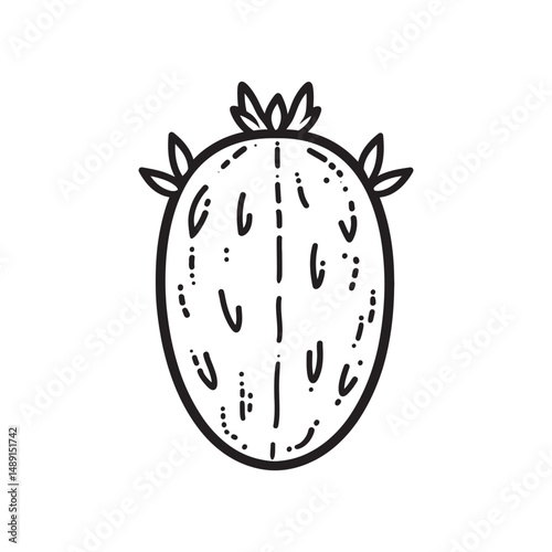Line drawing reveals detailed contours and texture of an oval prickly pear
