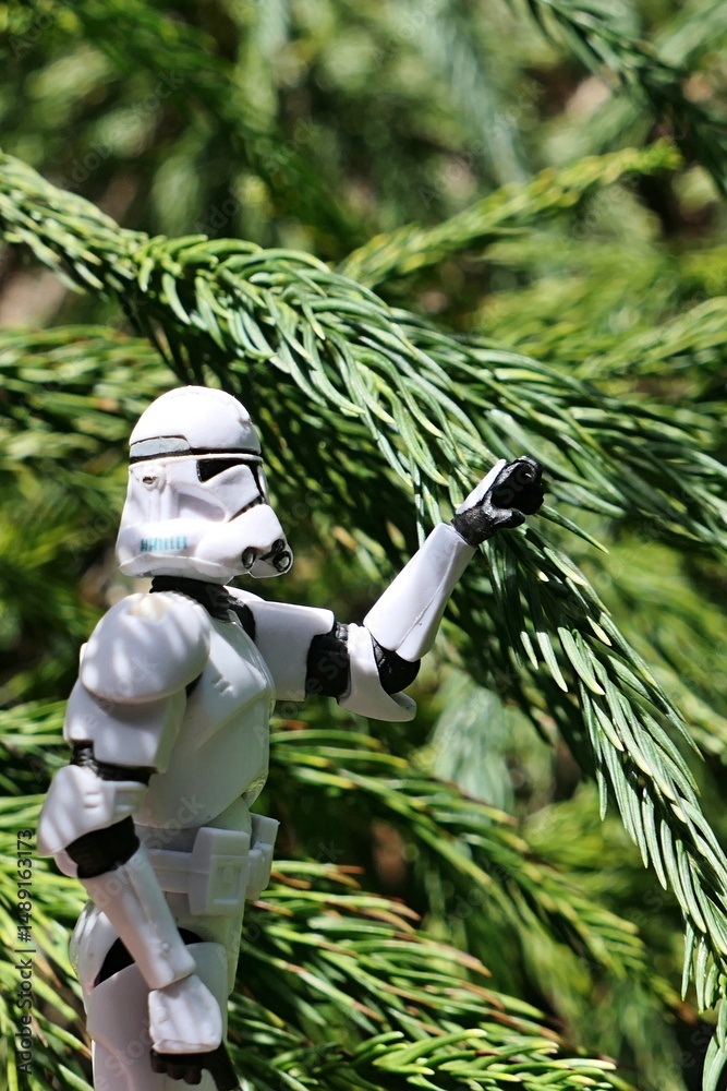 Fototapeta premium GI JOE action figure of Clone trooper reaching for fresh spring branch tip of coniferous tree called Japanese Cedar or Japanese Redwood or Sugi, latin name Cryptomeria Japonica.
