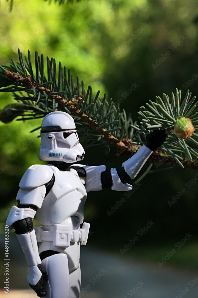 Naklejka premium Star Wars action figure of Clone Trooper holding spring branch tip of coniferous tree Alcock Spruce, latin name Picea alcoquiana. Sunlit by spring daylight sunshine. 