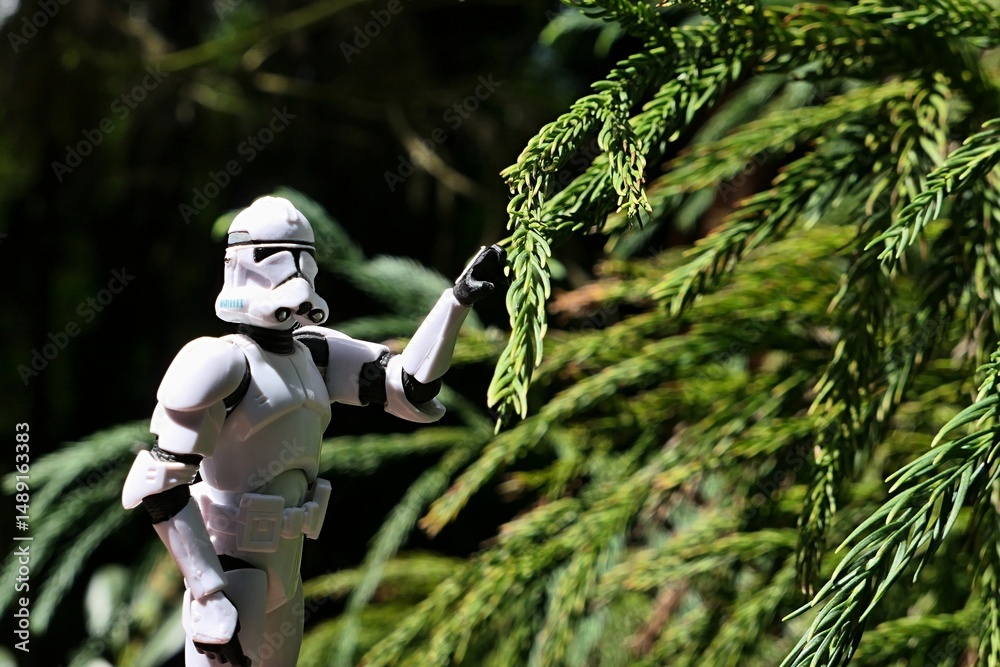 Fototapeta premium Star Wars action figure of Clone Trooper in white armor and helmet posing with sunlit coniferous branch of Sugi tree, also called Japanese Cedar or Japanese Redwood, latin name Cryptomeria Japonica. 