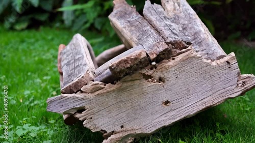 Wallpaper Mural Rustic weathered wood structure sitting on green grass in an outdoor garden setting, showcasing natural textures and aged aesthetics. Torontodigital.ca