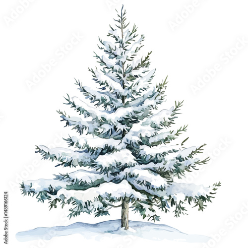 Snowy Pine Tree In Winter, watercolor painting vector, high quality, isolated on a white background.