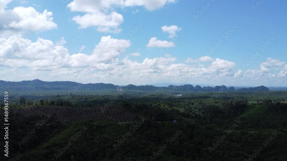 Aerial view of mountains surrounded by dense trees and covered in thick clouds Aerial view of mountains surrounded by dense trees and covered in thick clouds