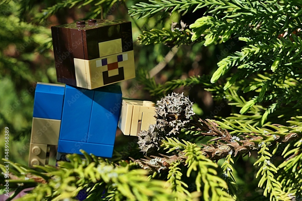 Naklejka premium LEGO Minecraft articulated large figure of smiling main character Steve, , touching spring cones of japanese Sugi tree, latin name Cryptomeria Japonica, sunlit by morning sunshine.