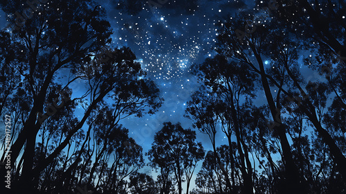 Starry night sky over dark silhouettes of trees at Mallee bushland