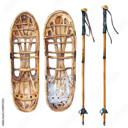 Snowshoe Set With Poles, watercolor illustration vector, high quality, isolated on a white background.