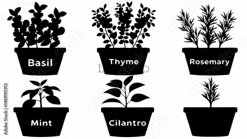Illustration of six potted herbs including basil thyme rosemary mint cilantro and an unidentified herb editable vector eps/eps