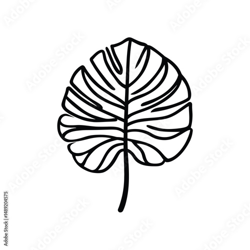 Monstera leaf shows intricate pattern and bold black outline, isolated with transparency