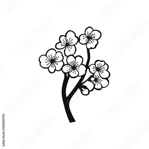 of black outlines showing blossoming cherry branch on a transparent backdrop