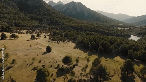 Aerial flying over meadow lake toward forest photo