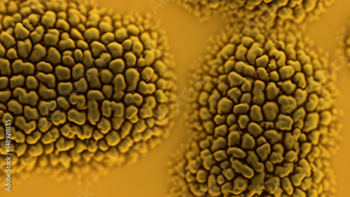 Close-up view of textured, golden spheres
