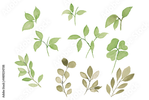 Watercolor leaves illustration set - green leaf branches collection for wedding, greetings, stationary, wallpapers, fashion, background. olive, green leaves, Eucalyptus etc