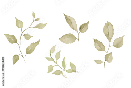 Watercolor leaves illustration set - green leaf branches collection for wedding, greetings, stationary, wallpapers, fashion, background. olive, green leaves, Eucalyptus etc