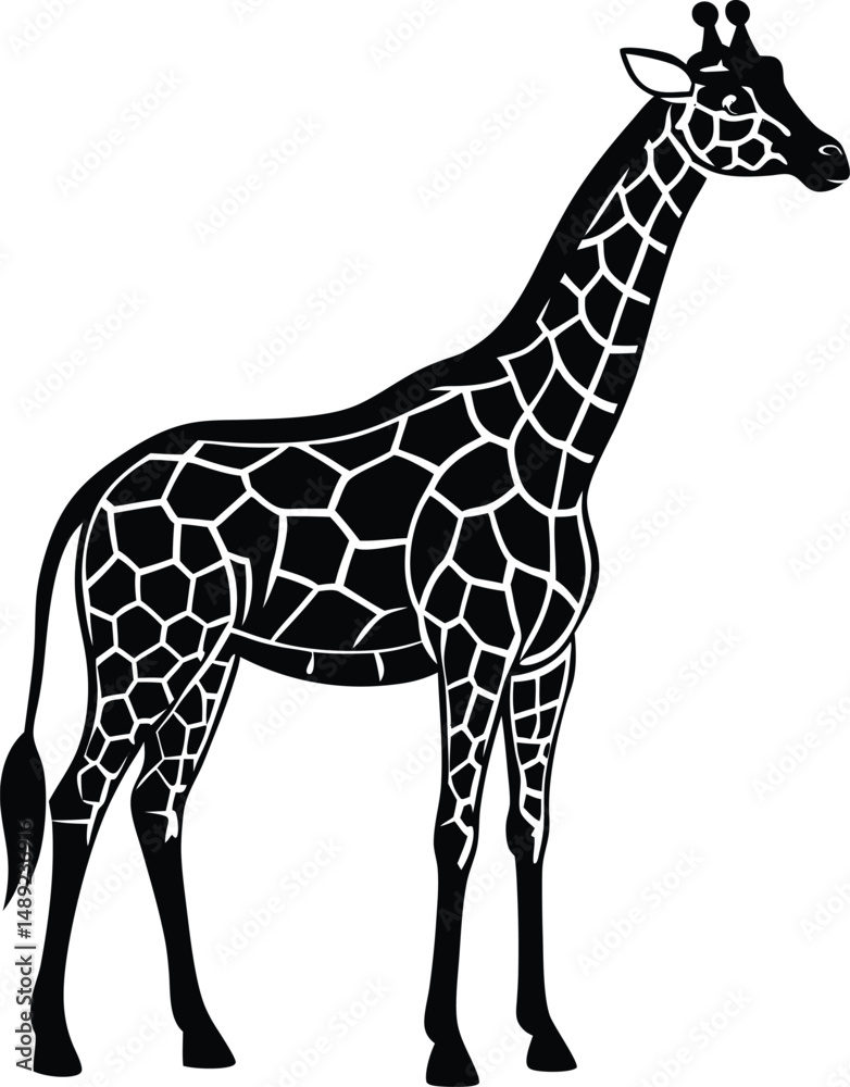 Naklejka premium giraffe isolated on white background