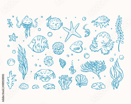 Hand drawn vector icons of sea life in blue color. Shell, starfish, octopus, jellyfish, crab, shrimp, Fish, seaweed, stone, pearl, coral cute symbols.