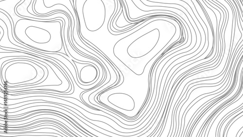 Topographic contour map. Vector cartography illustration. Business concept. Fish Fillet Texture, Salmon fillet texture, fish pattern. paper texture