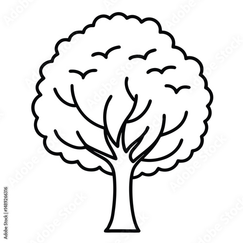 osage orange tree line art vector on white background