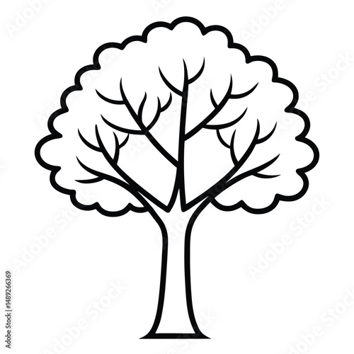 osage orange tree line art vector on white background