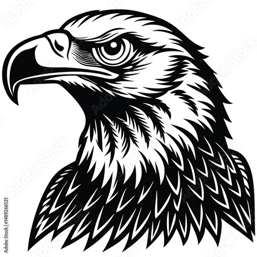 Close up of an Eagle Head with a Saluting Hand Patriotic Design