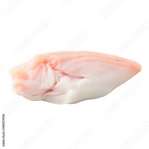 Exquisite freshly cut snapper fillet resting delicately on a pristine surface symbolizing seafood preparation and culinary artistry