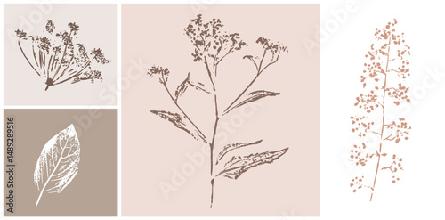 Pink tan and brown floral prints of botanical illustration. Decorative set of flowers and leaves pressed or stamped.