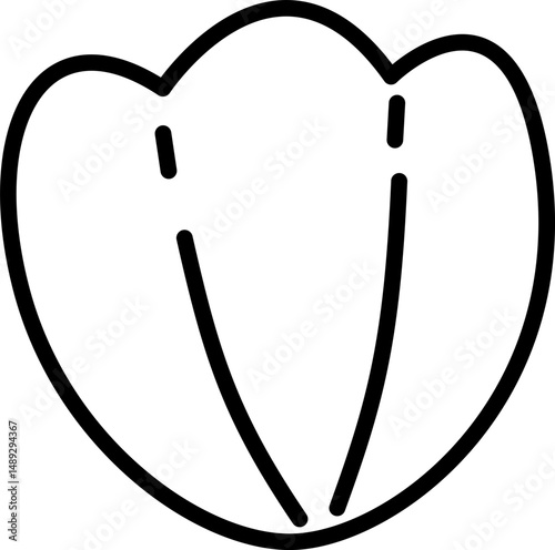 Scallop Outline Coloring